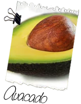 Avocado