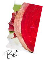 Biet (rauw)