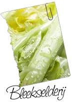 Bleekselderij