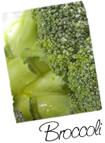 Broccoli