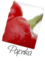 Paprika