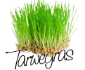 Tarwegras