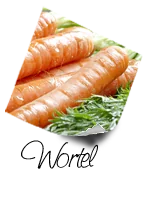 Wortel
