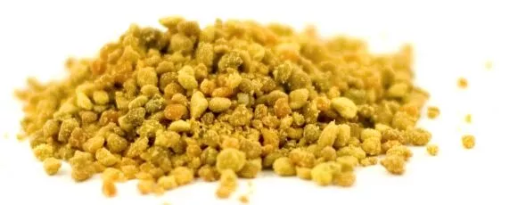 Bijenpollen-beeld